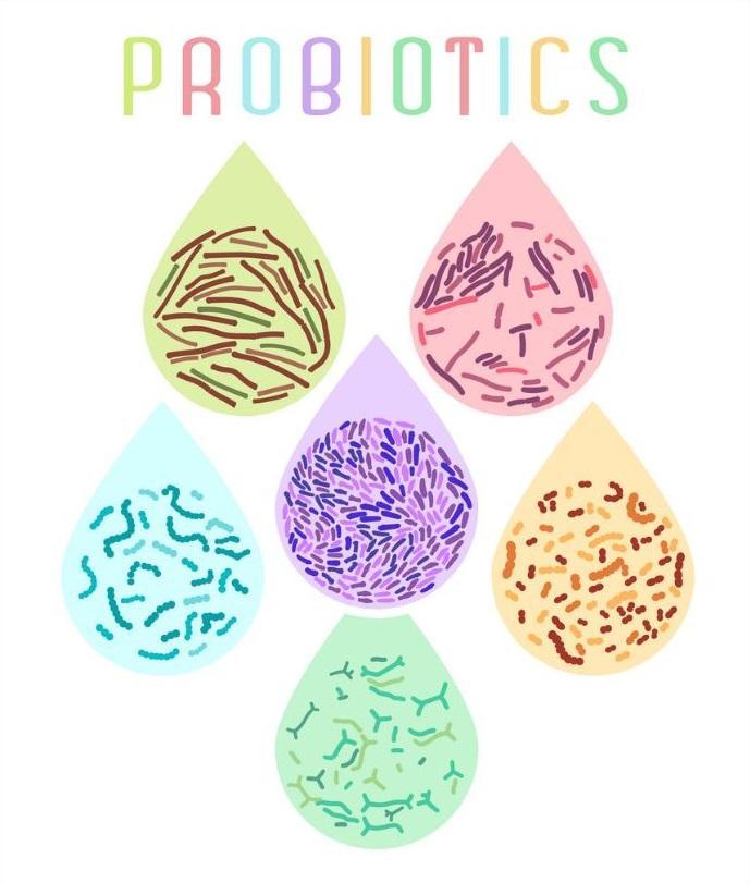 probiotics2